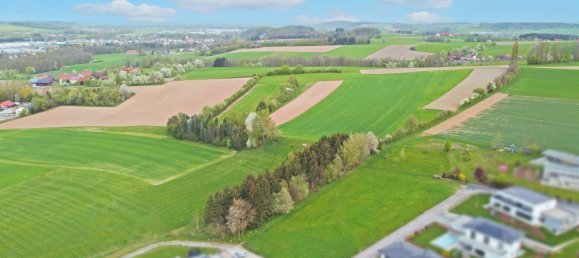  قطعة أرض في Utzenaich, Austria رقم 130731 2