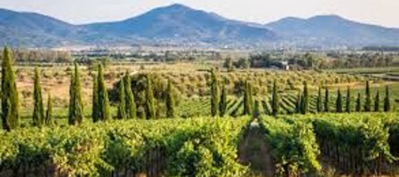 5 غرف نوم منزل في Grosseto, Italy رقم 327520 5