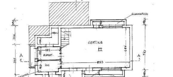 5غرفة فيلا في Forte dei Marmi, Italy رقم 139609 26
