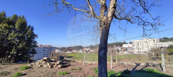 3 bedrooms House in Fanzeres, Portugal No. 28037 25