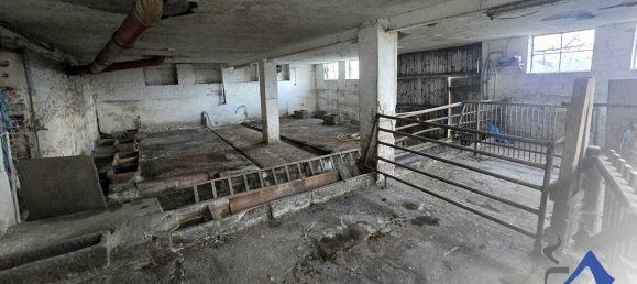 4 غرف نوم مزرعة في Kusel, Germany رقم 172678 13