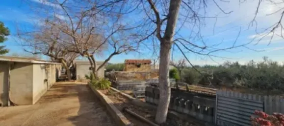 2 bedrooms House in Sant Carles De La Rapita, Spain No. 144773 13