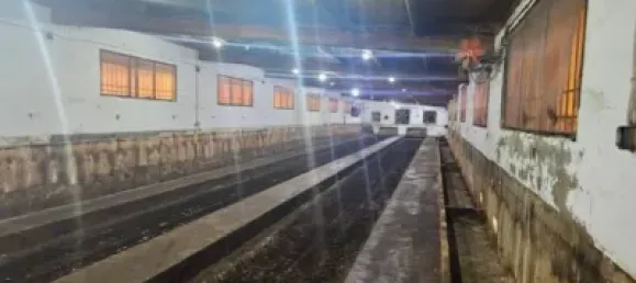 2 bedrooms House in Sant Carles De La Rapita, Spain No. 144773 15