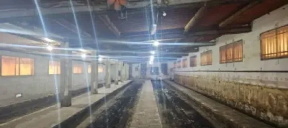 2 bedrooms House in Sant Carles De La Rapita, Spain No. 144773 16