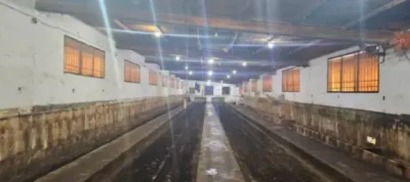 2 bedrooms House in Sant Carles De La Rapita, Spain No. 144773 18