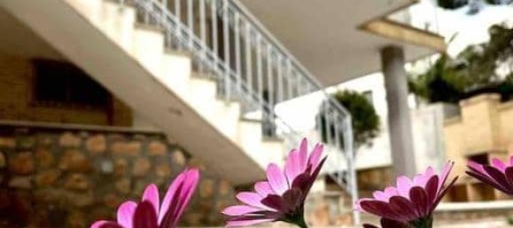 4 bedrooms House in Dehesa De Campoamor, Spain No. 185946 4