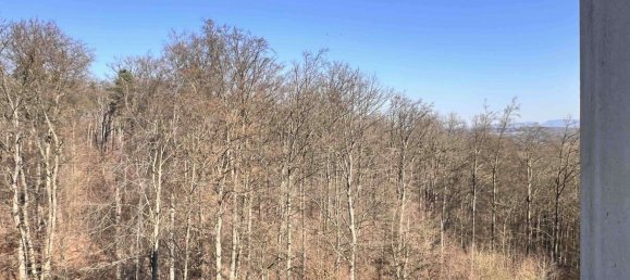 2 bedrooms Apartment in Baden-Wurttemberg, Germany No. 113831 14