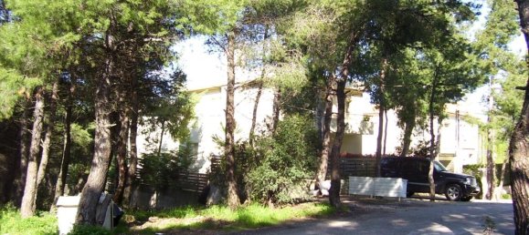 Отель, гостиница 815м² в Дионисос, Восточная Аттика, Аттика, Греция № 6608 2