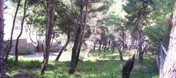 Hotel in Dionysos, Greece 815m², Nr. 6608 4