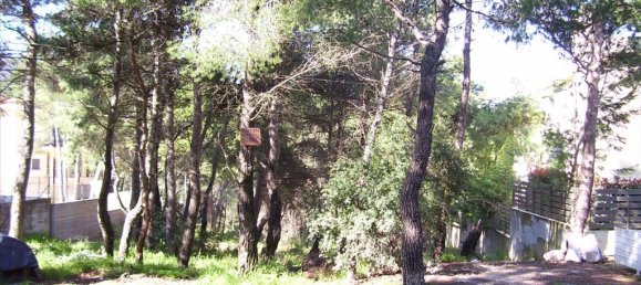 Hotel in Dionysos, Greece 815m², Nr. 6608 5