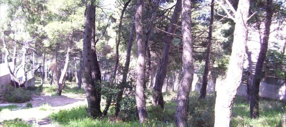 Hotel in Dionysos, Greece 815m², Nr. 6608 3