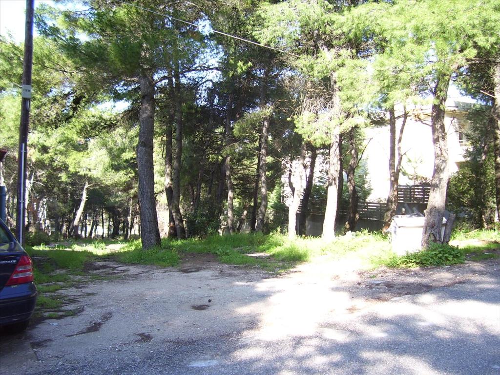 Hotel in Dionysos, Greece 815m², Nr. 6608