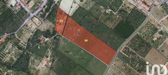 Terrain à Beniarbeig, Spain 18763m² No. 292523 26