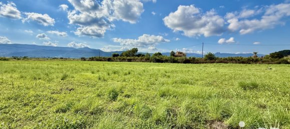 Terrain à Beniarbeig, Spain 18763m² No. 292523 17