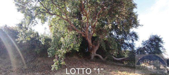 2-salle Villa à Acquedolci, Italy No. 78075 30