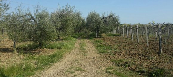 17000m² Land in Arielli, Italy No. 11700 8