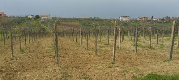 17000m² Land in Arielli, Italy No. 11700 5