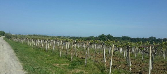 17000m² Land in Arielli, Italy No. 11700 9