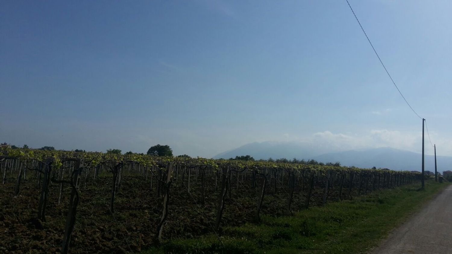 Grundstück in Arielli, Italy 17000m², Nr. 11700