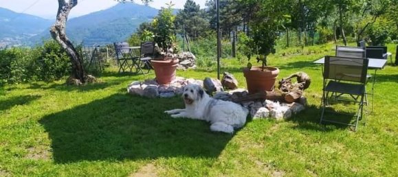 4 rooms House in Camaiore, Italy No. 235605 6