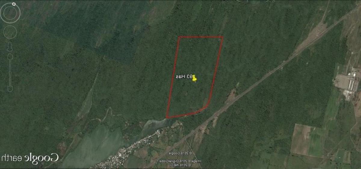  Land in Veracruz, Mexico No. 206890