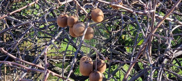 3 غرف نوم منزل في Fundao, Portugal رقم 41175 9