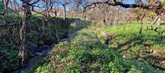 3 غرف نوم منزل في Fundao, Portugal رقم 41175 16