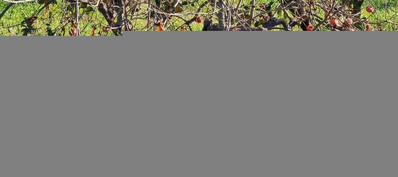 3 غرف نوم منزل في Fundao, Portugal رقم 41175 11