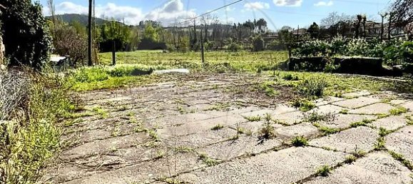 5 Schlafzimmer Haus in Requiao, Portugal, Nr. 43204 6