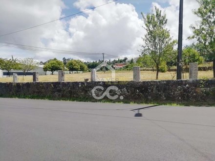  Land in Oliveira de Frades, Portugal No. 92300