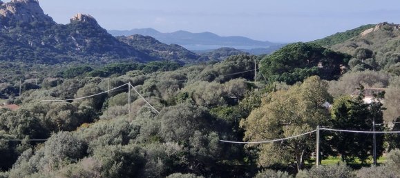 3 rooms House in Santa Teresa Gallura, Italy No. 174285 3