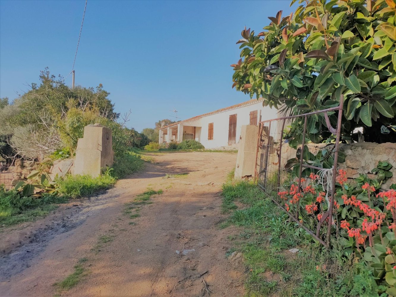 3 rooms House in Santa Teresa Gallura, Italy No. 174285