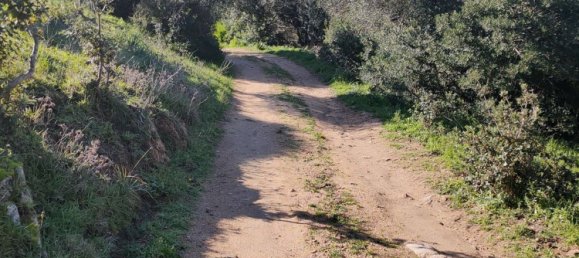 3 rooms House in Santa Teresa Gallura, Italy No. 174285 7