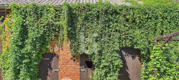 1 bedroom Townhouse in Ostprignitz-Ruppin, Germany No. 355026 9