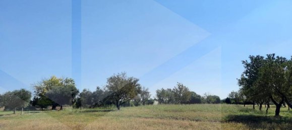 Вилла с 3 комнатами в Бриндизи, Италия № 26435 16