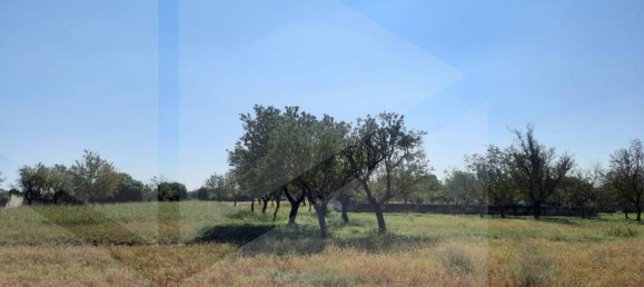 Вилла с 3 комнатами в Бриндизи, Италия № 26435 12