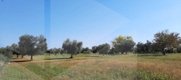 Вилла с 3 комнатами в Бриндизи, Италия № 26435 2