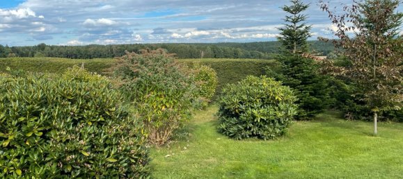 Terreno en Greiz, Germany No. 271509 4