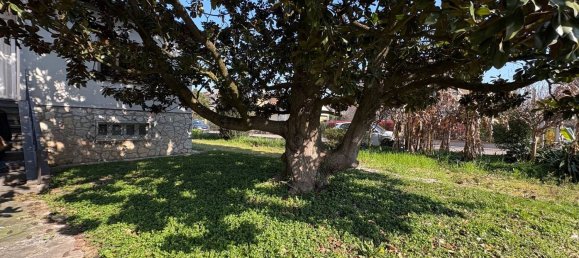 Вилла с 5 комнатами в Мармироло, Италия № 151464 9