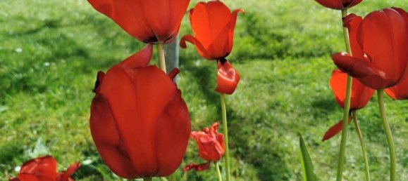 Квартира с 1 спальней в Лейпциг, Германия № 357074 17