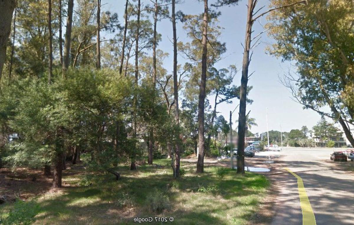  قطعة أرض في Maldonado, Uruguay رقم 14234