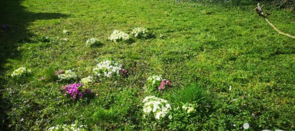 Moradia em banda T3 em Boran-sur-Oise, France N.º 230891 14