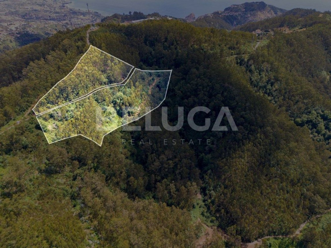  Land in Ribeira Brava, Portugal No. 300384