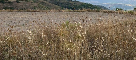 31630m² Land in Ragusa, Italy No. 224906 5