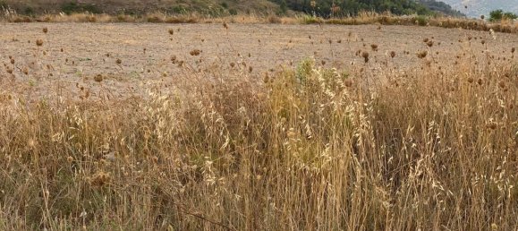 31630m² Land in Ragusa, Italy No. 224906 16