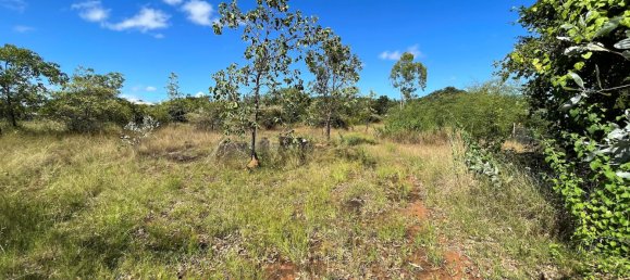 Terrain à Chillagoe, Australia No. 972 4