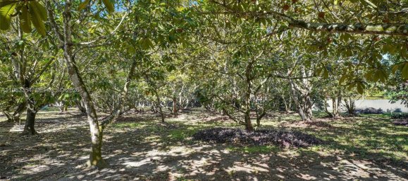 7 dormitorios villa en venta en Miami, Miami-Dade, Florida, USA № 615394 19