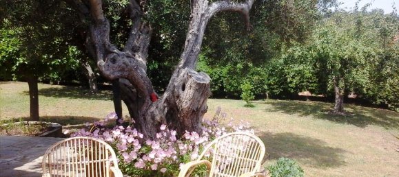 1 Schlafzimmer Property in Chalkidiki, Greece, Nr. 7940 4