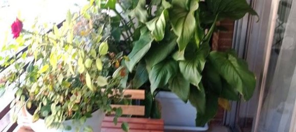 3 bedrooms Apartment in Alicante, Spain No. 157798 4