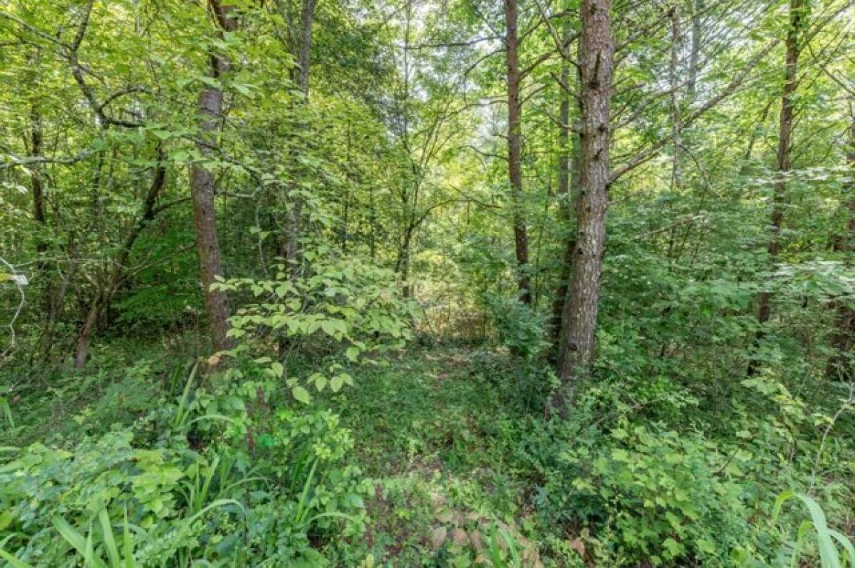  Land in Hiawassee, USA No. 517289